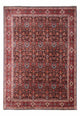 ビジャー - タカブ 絨毯 342x256cm - ペルシャ絨毯