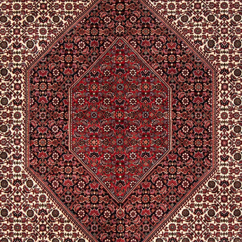 ビジャー 絨毯 251x171cm - ペルシャ絨毯