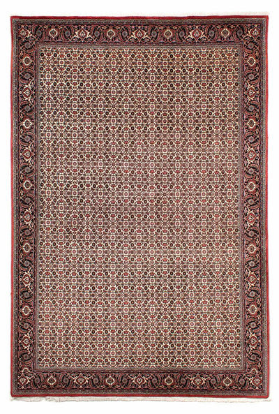 ビジャー 絨毯 200x294cm - ペルシャ絨毯