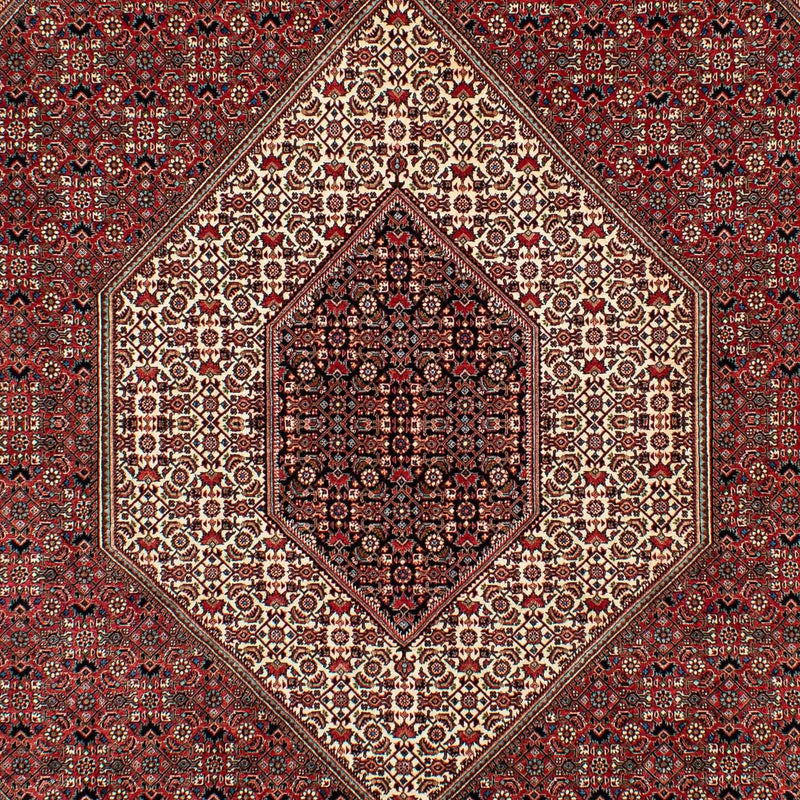 ビジャー 絨毯 305x203cm - ペルシャ絨毯