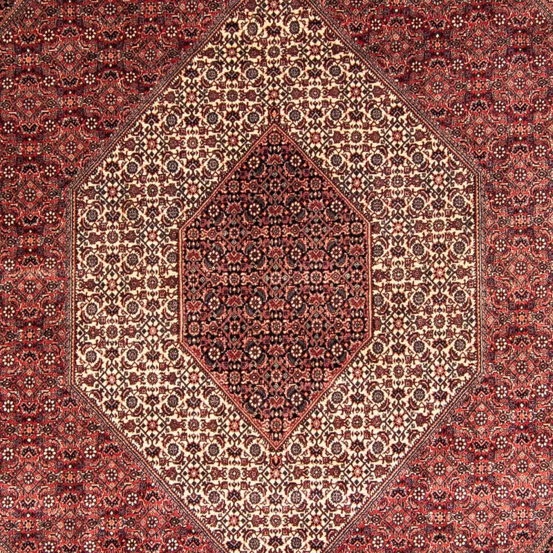 ビジャー 絨毯 340x252cm - ペルシャ絨毯