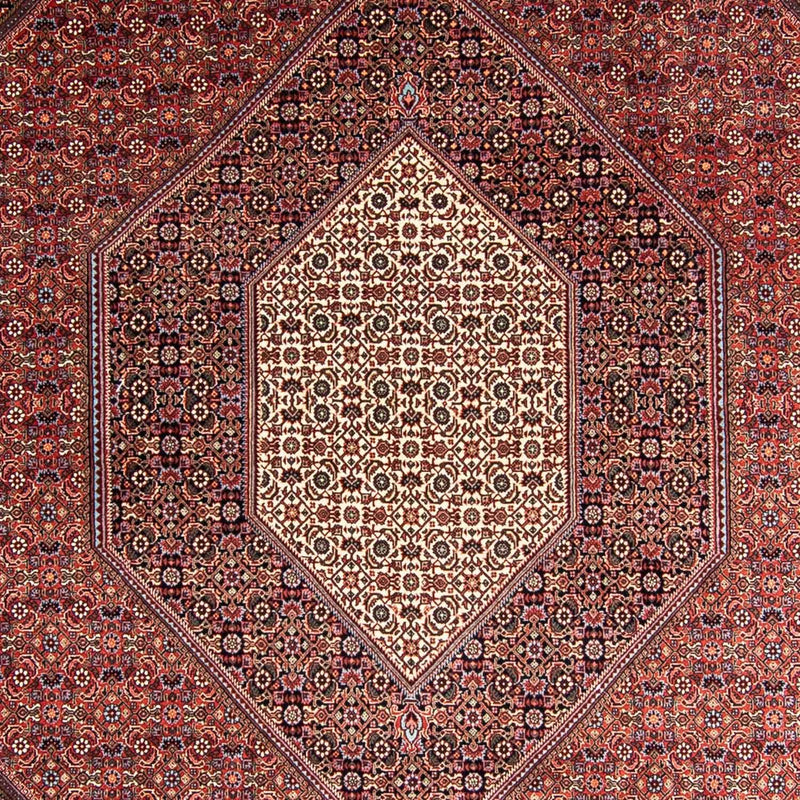 ビジャー 絨毯 358x255cm - ペルシャ絨毯