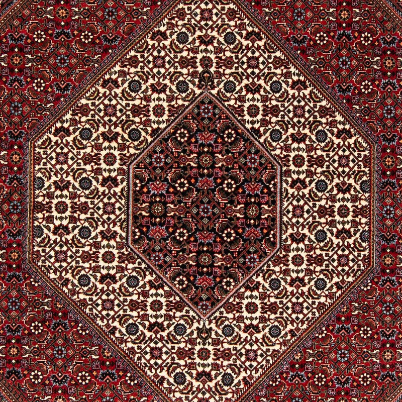 ビジャー 絨毯 245x172cm - ペルシャ絨毯