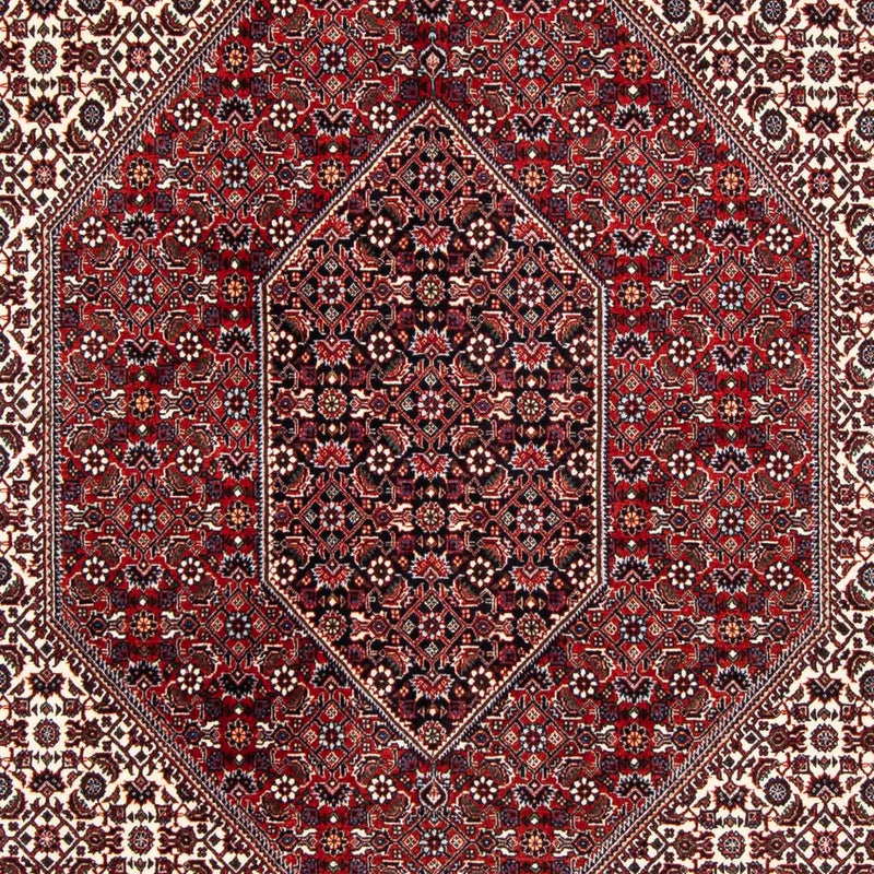 ビジャー 絨毯 241x170cm - ペルシャ絨毯