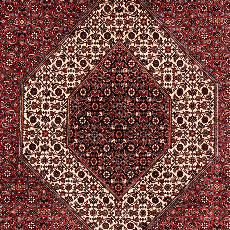 ビジャー 絨毯 254x174cm - ペルシャ絨毯