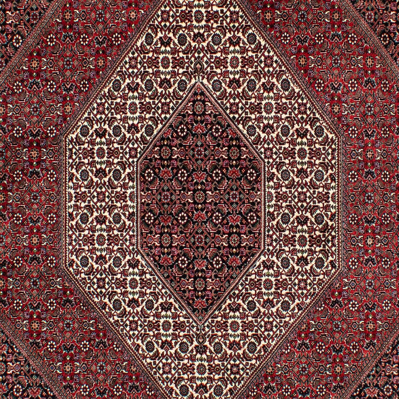 ビジャー 絨毯 305x203cm - ペルシャ絨毯