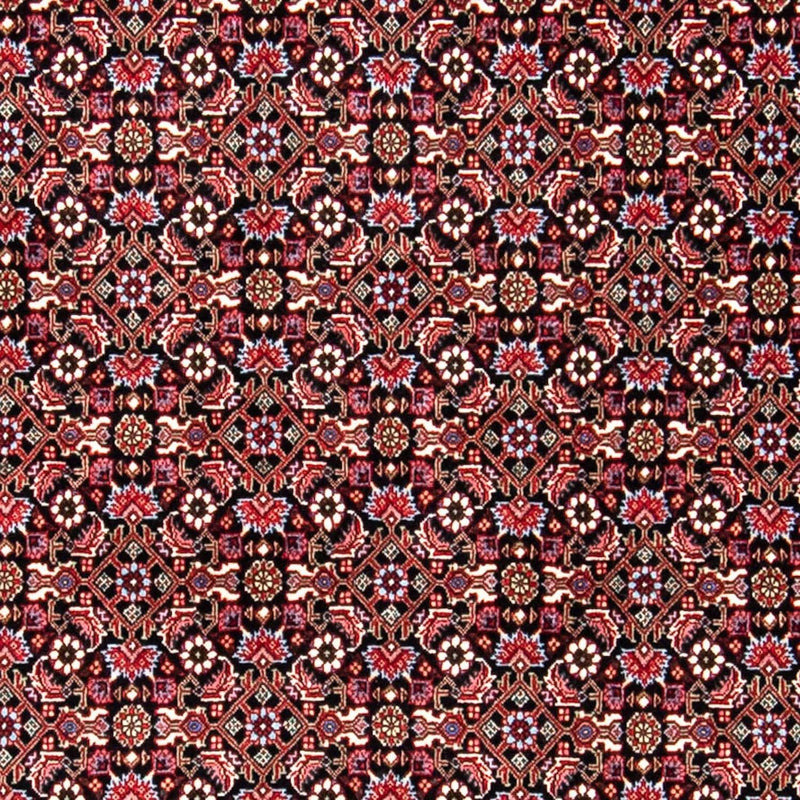ビジャー 絨毯 250x168cm - ペルシャ絨毯
