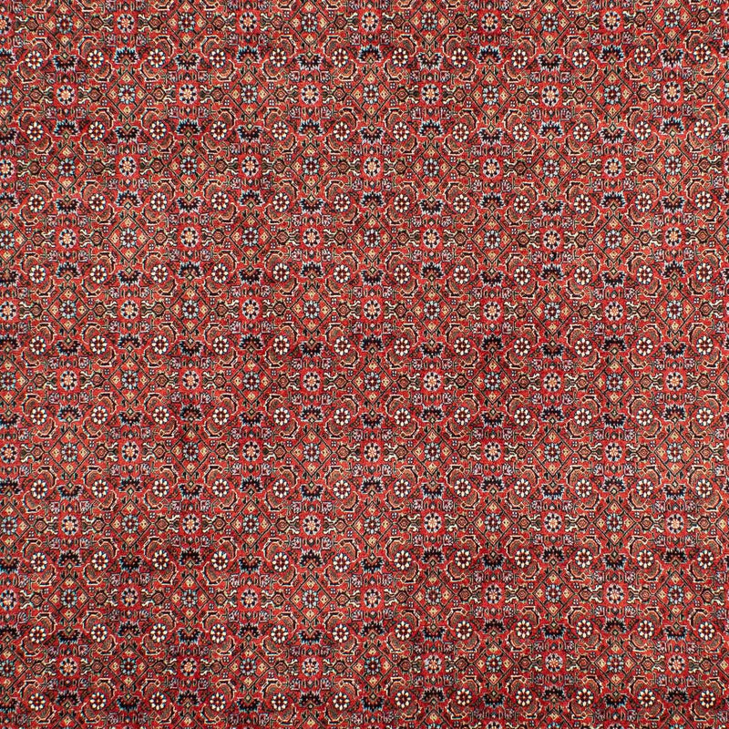 ビジャー 絨毯 307x208cm - ペルシャ絨毯