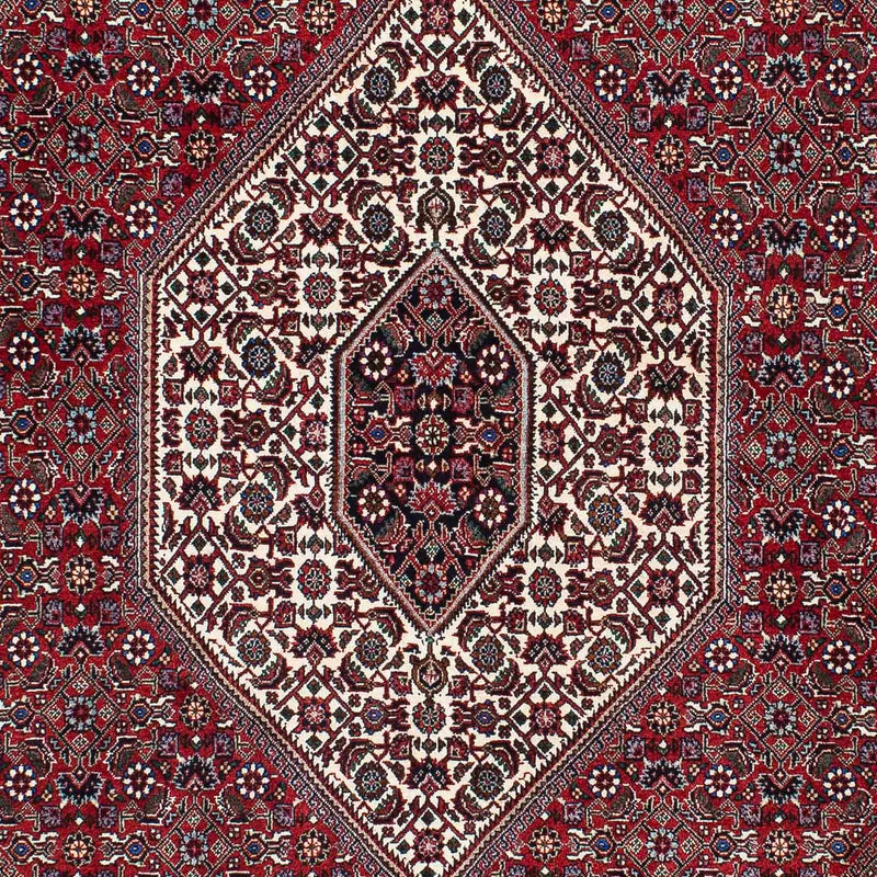 ビジャー 絨毯 212x132cm - ペルシャ絨毯
