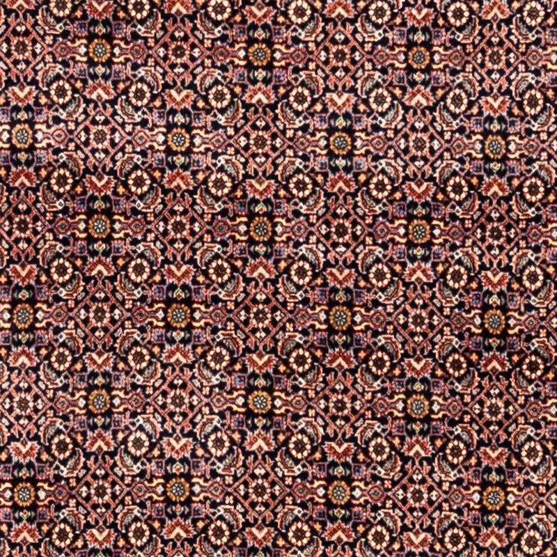 ビジャー - タカブ 絨毯 341x259cm - ペルシャ絨毯