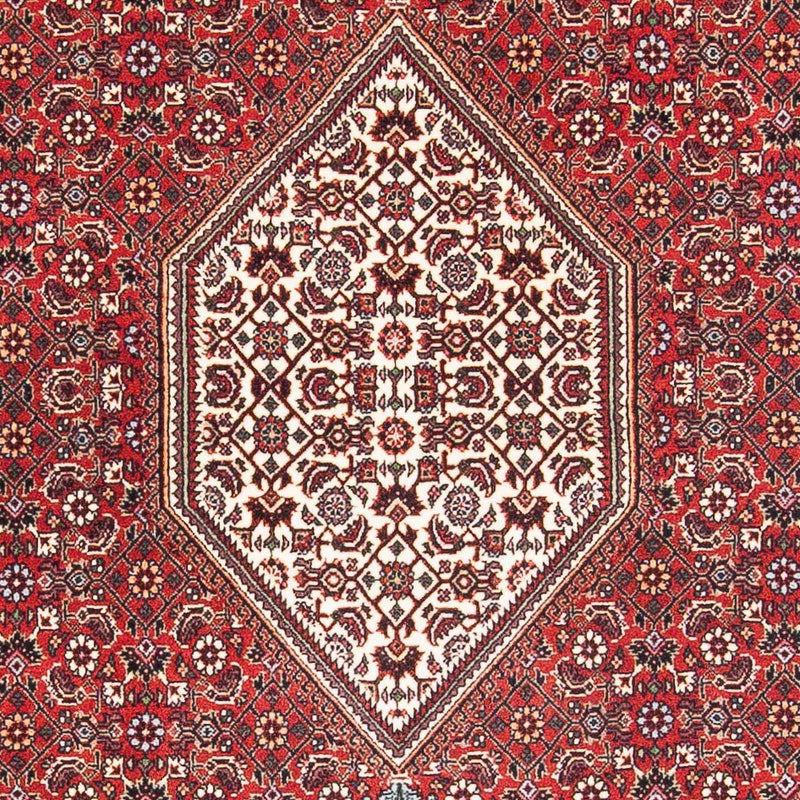 ビジャー 絨毯 174x112cm - ペルシャ絨毯
