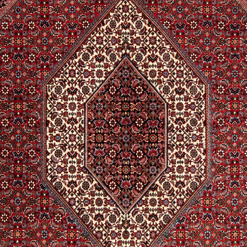 ビジャー 絨毯 252x170cm - ペルシャ絨毯