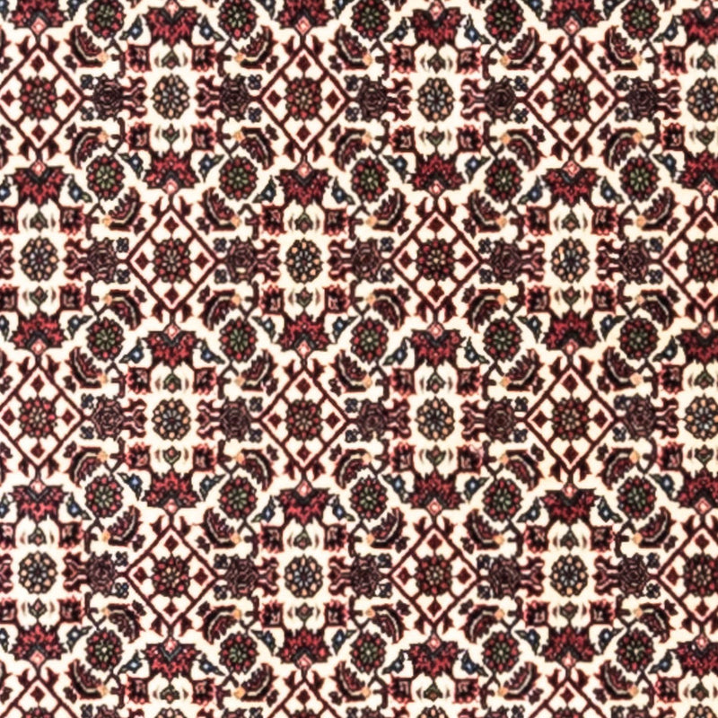 ビジャー - タカブ 絨毯 296x204cm - ペルシャ絨毯