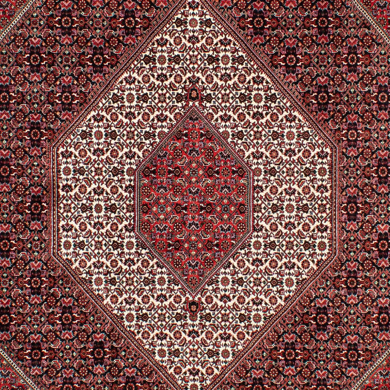 ビジャー 絨毯 308x202cm - ペルシャ絨毯