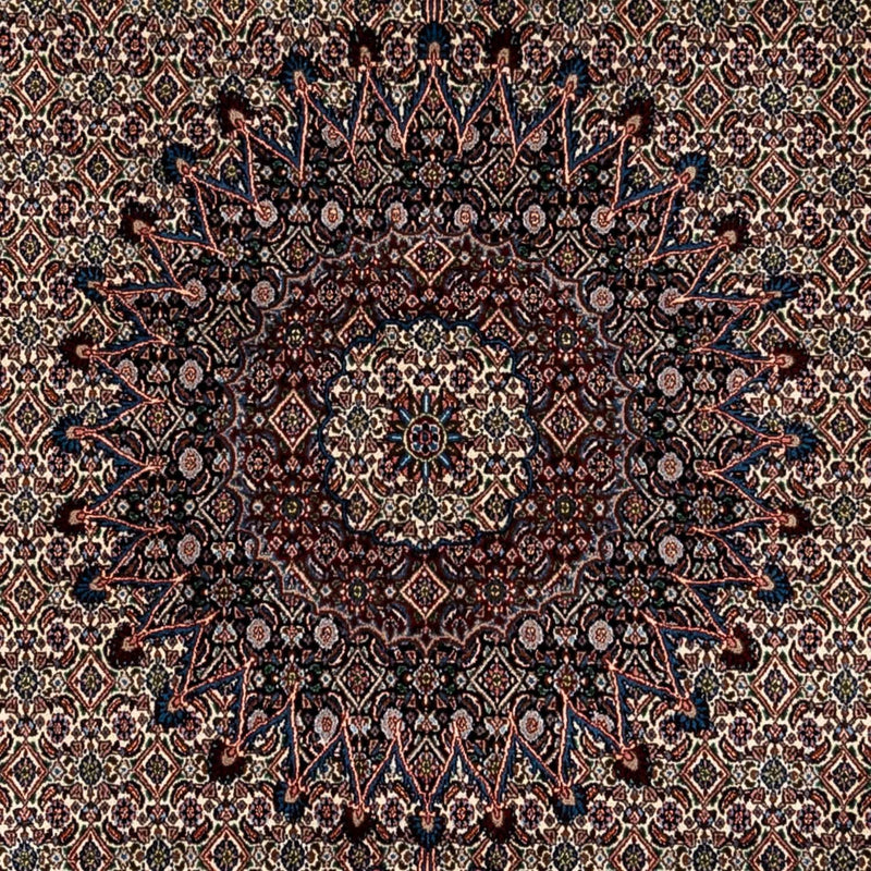 モウド 絨毯 348x244cm - ペルシャ絨毯