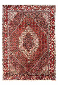 ビジャー - タカブ 絨毯 285x195cm - ペルシャ絨毯 – product image