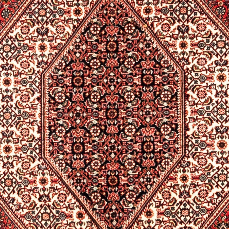 ビジャー - タカブ 絨毯 285x195cm - ペルシャ絨毯