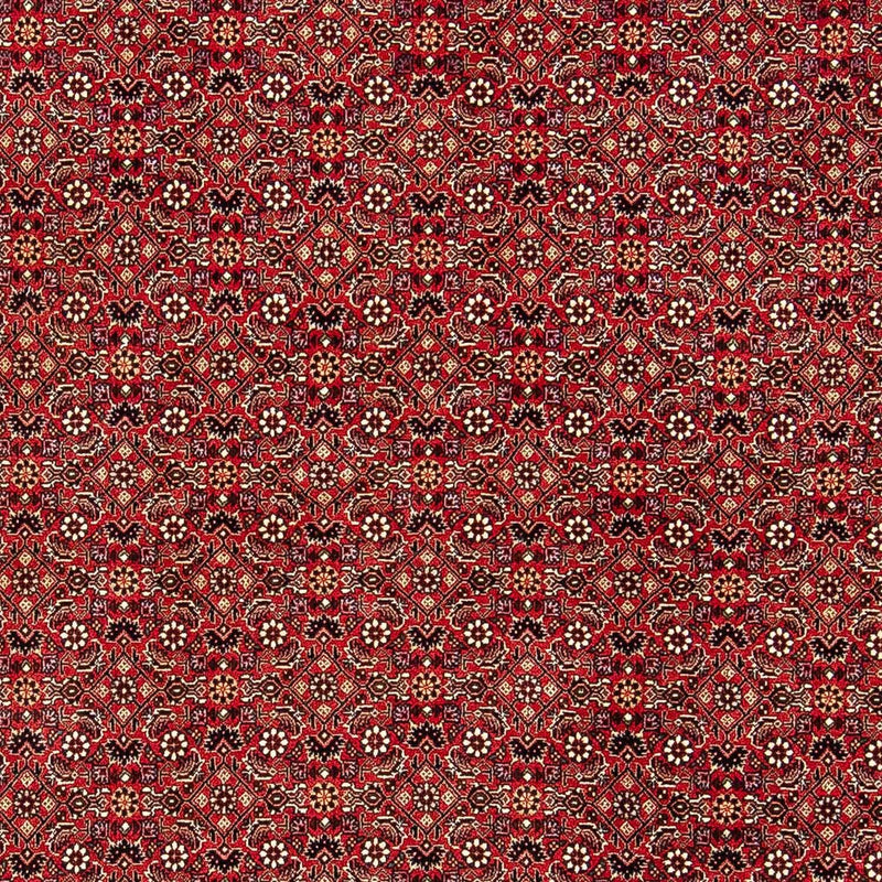 ビジャー 絨毯 248x174cm - ペルシャ絨毯