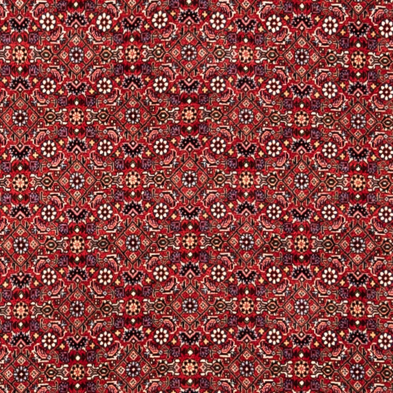 ビジャー - タカブ 絨毯 340x252cm - ペルシャ絨毯