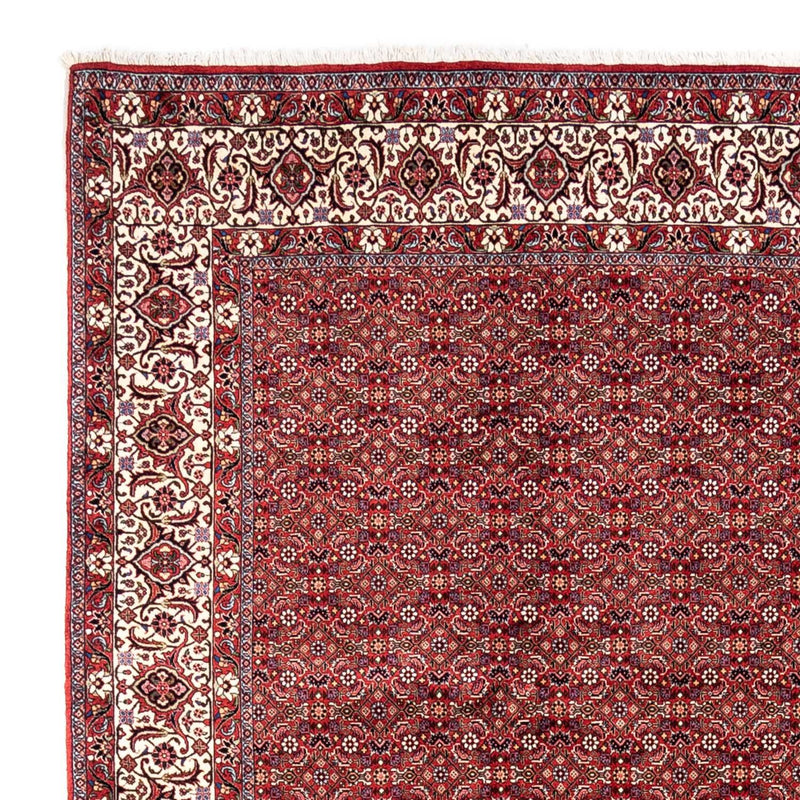 ビジャー - タカブ 絨毯 340x252cm - ペルシャ絨毯