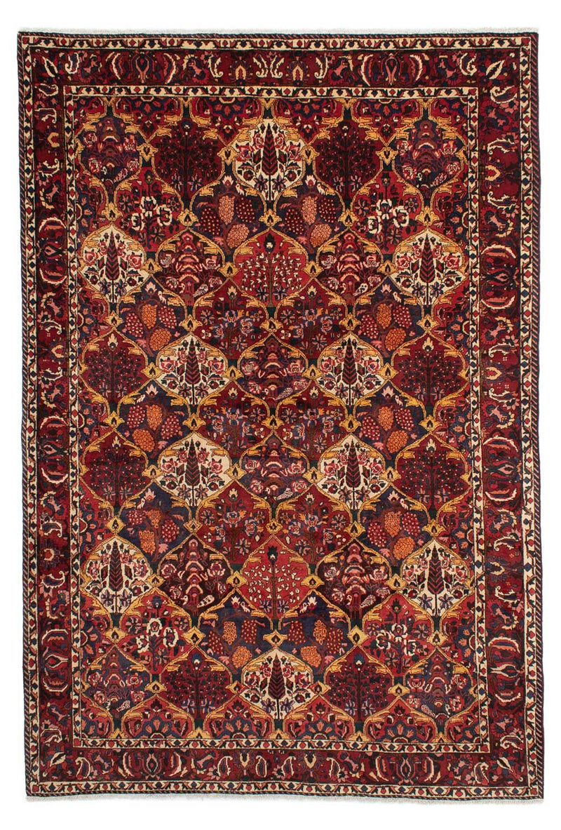 バフティアール 絨毯 305x211cm - ペルシャ絨毯