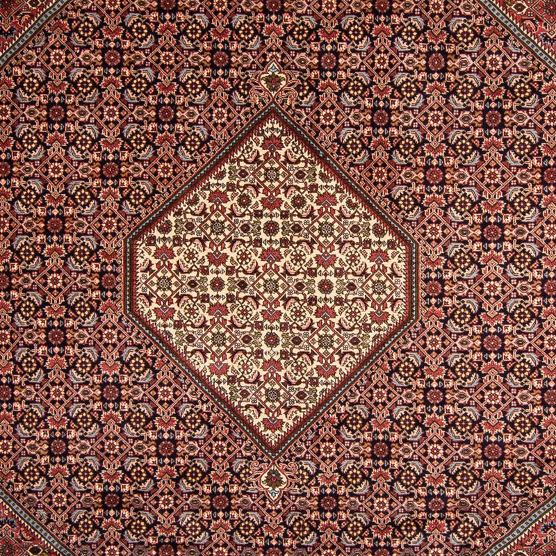 ビジャー 絨毯 340x252cm - ペルシャ絨毯