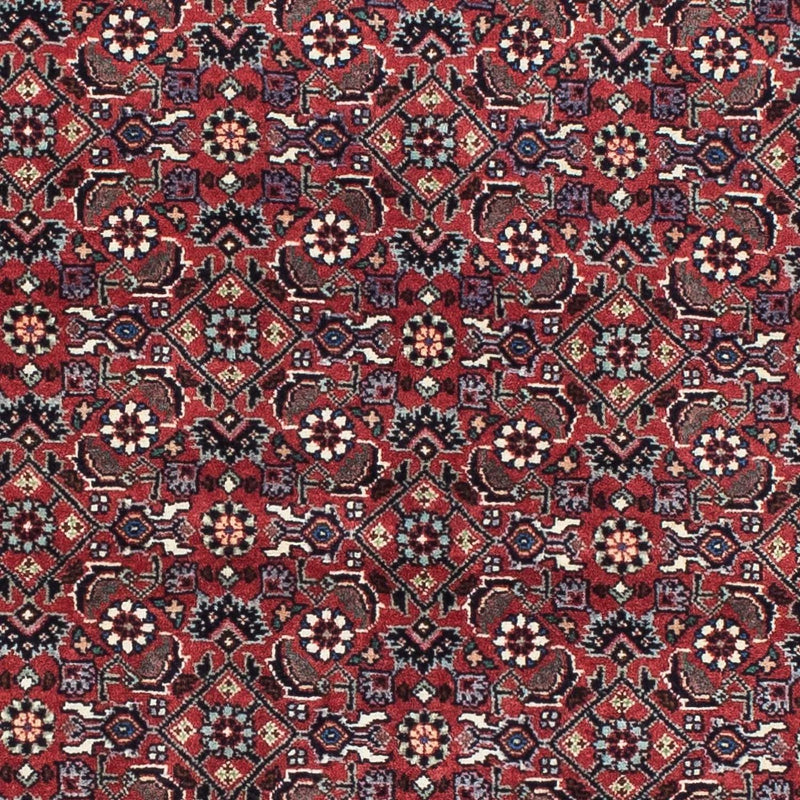 ビジャー 絨毯 193x176cm - ペルシャ絨毯