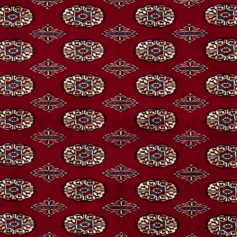 ブハラ 絨毯 240x170cm - オリエンタル絨毯