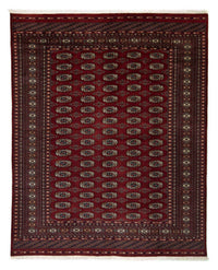 ブハラ 絨毯 244x198cm - オリエンタル絨毯 – product image