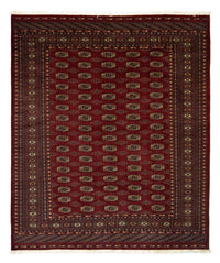 ブハラ 絨毯 240x203cm - オリエンタル絨毯 – product image