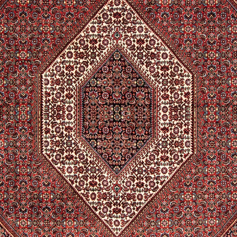 ビジャー 絨毯 239x166cm - ペルシャ絨毯