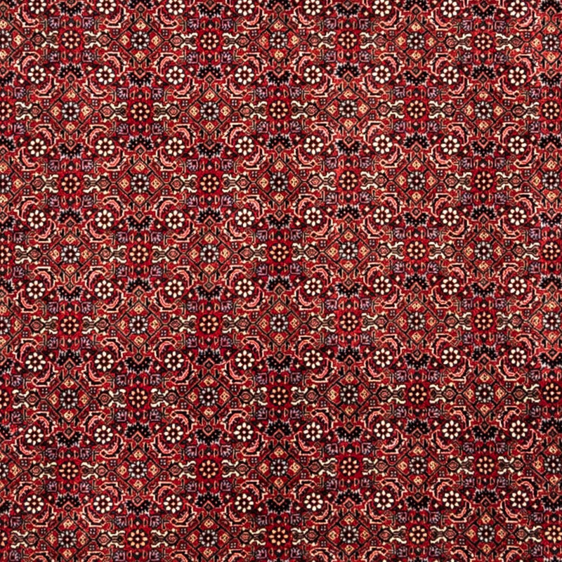 ビジャー - タカブ 絨毯 350x252cm - ペルシャ絨毯