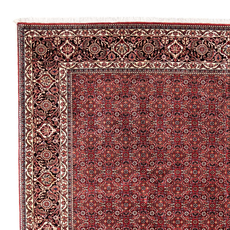 ビジャー - タカブ 絨毯 350x252cm - ペルシャ絨毯