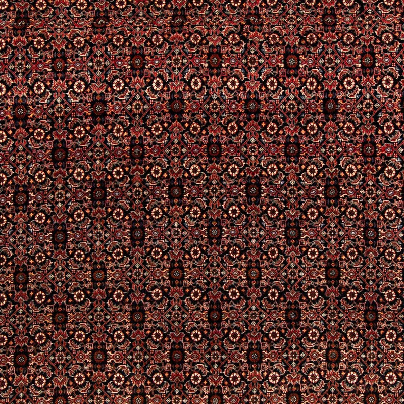 ビジャー 絨毯 208x197cm - ペルシャ絨毯