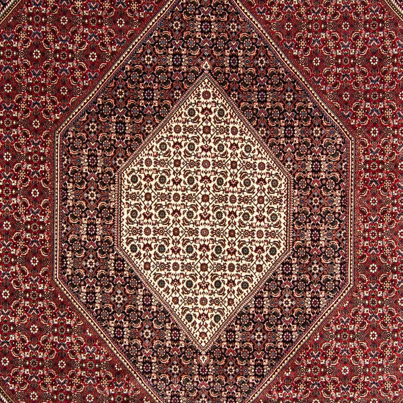ビジャー 絨毯 349x245cm - ペルシャ絨毯