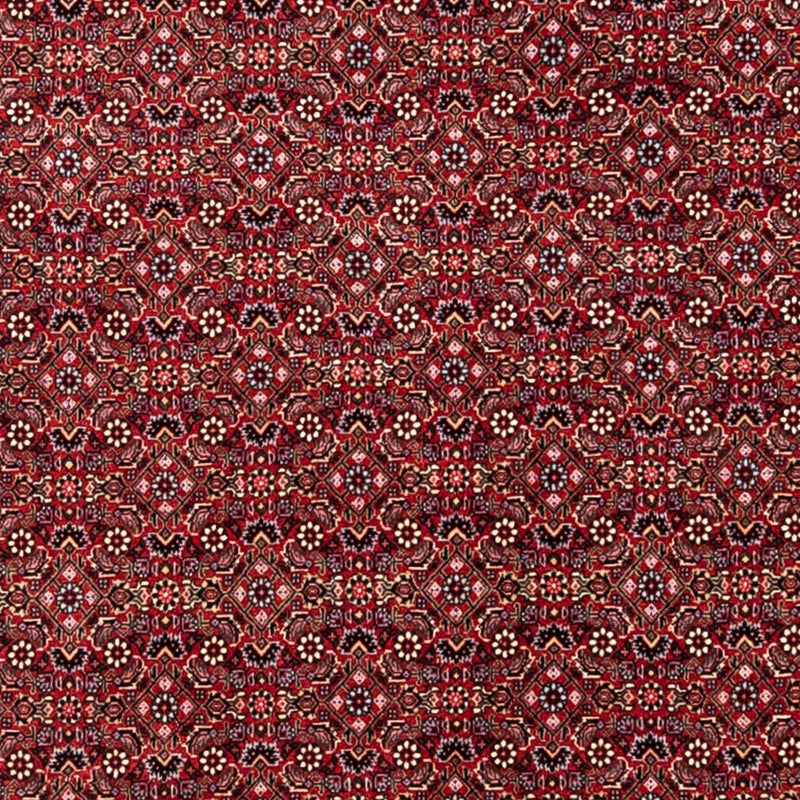 ビジャー - タカブ 絨毯 338x252cm - ペルシャ絨毯