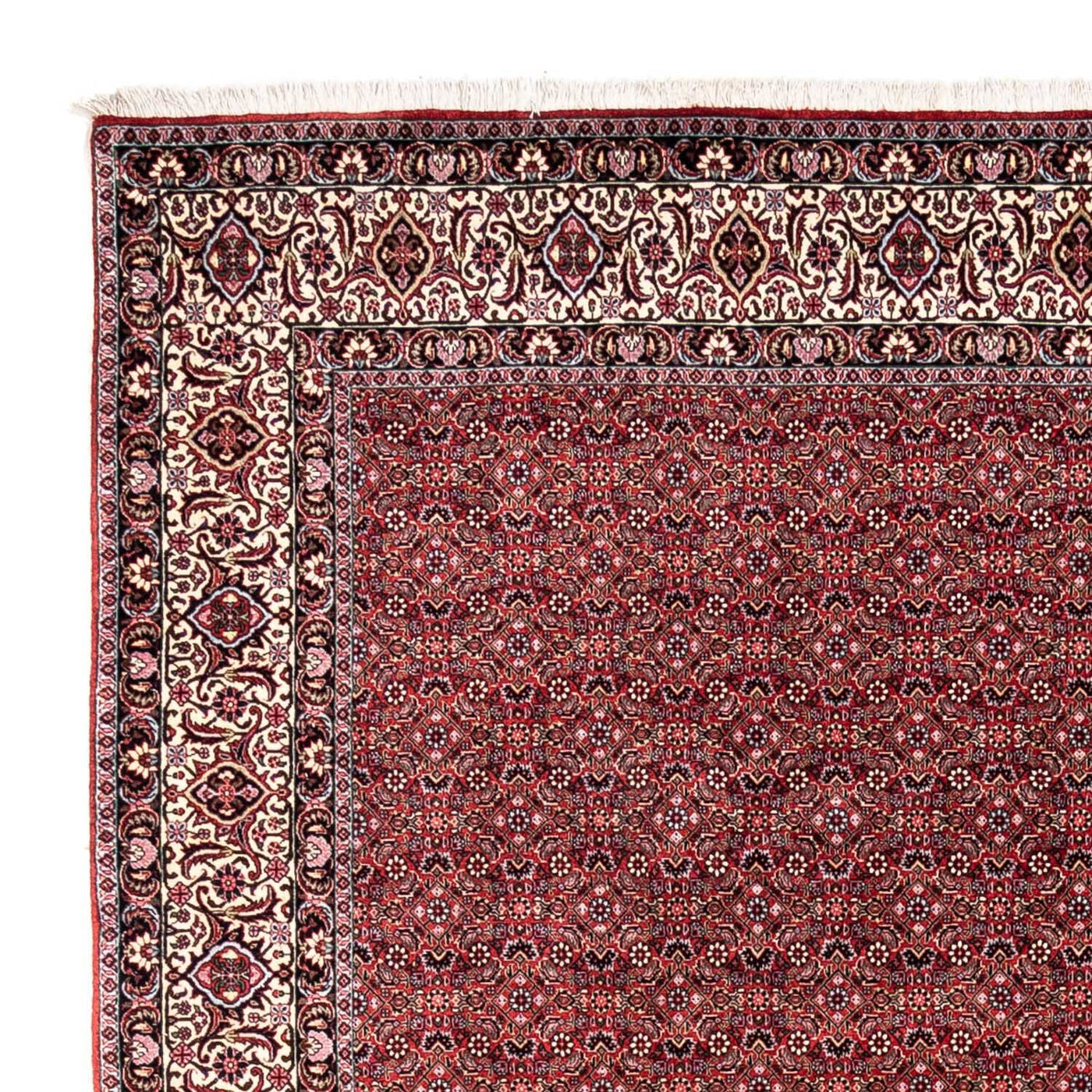ビジャー - タカブ 絨毯 338x252cm - ペルシャ絨毯