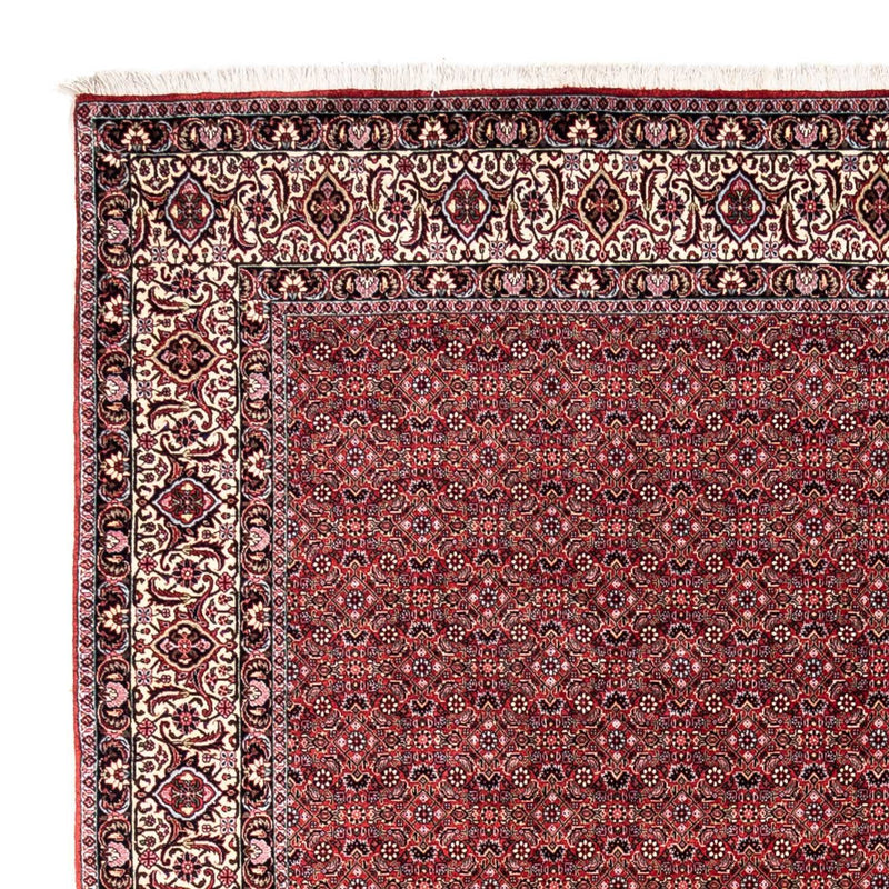 ビジャー - タカブ 絨毯 338x252cm - ペルシャ絨毯