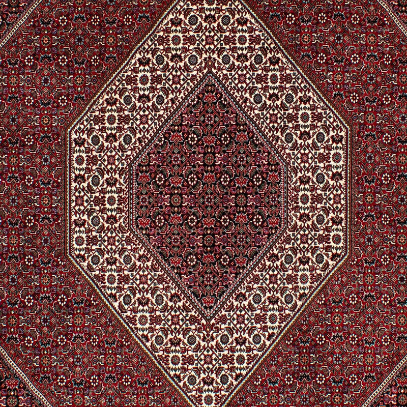 ビジャー 絨毯 295x202cm - ペルシャ絨毯