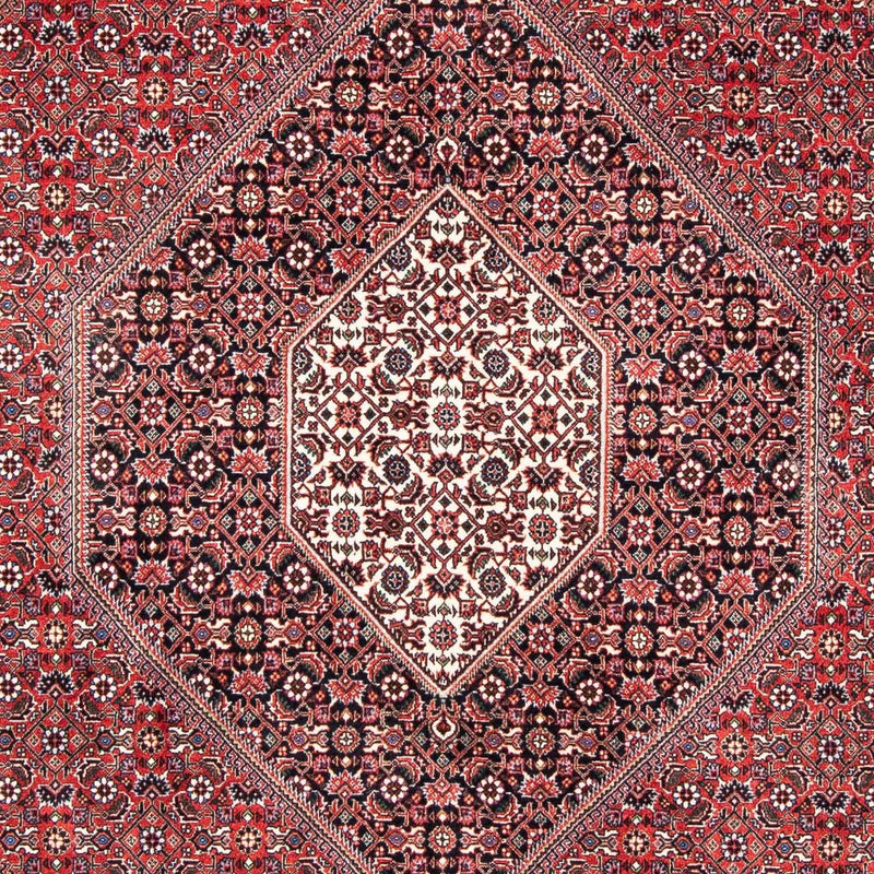 ビジャー 絨毯 253x174cm - ペルシャ絨毯