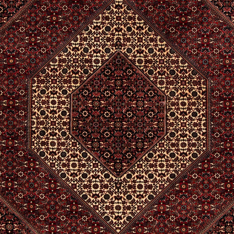ビジャー 絨毯 242x203cm - ペルシャ絨毯