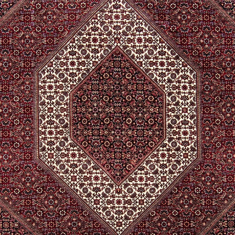 ビジャー 絨毯 238x171cm - ペルシャ絨毯
