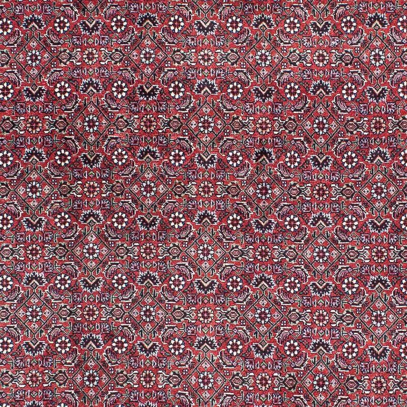 ビジャー 絨毯 216x128cm - ペルシャ絨毯