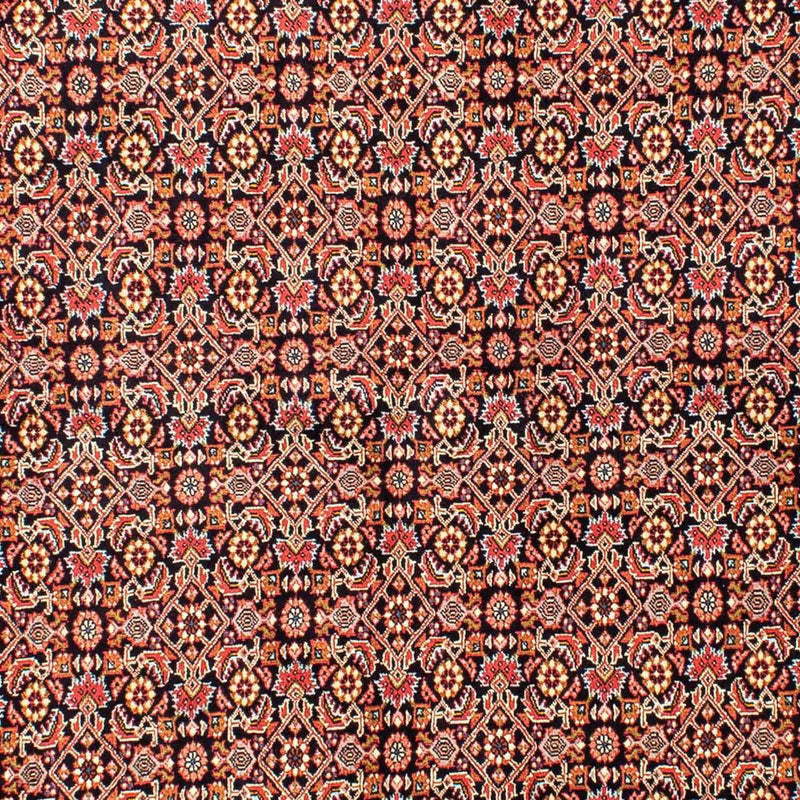 ビジャー 絨毯 240x171cm - ペルシャ絨毯