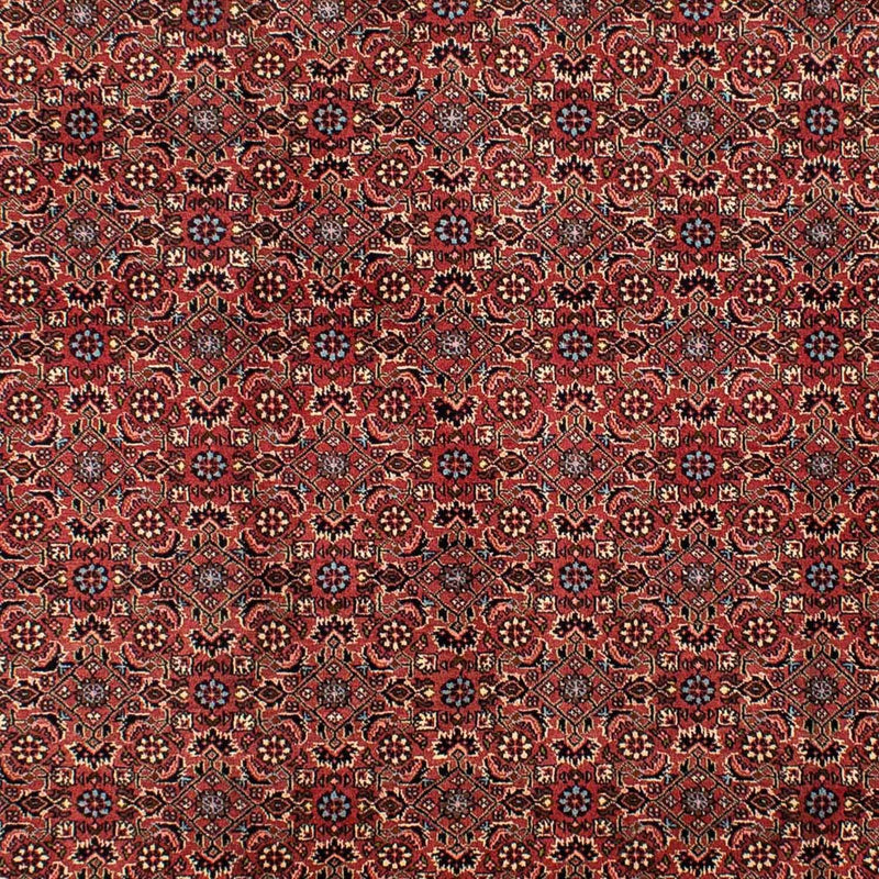 ビジャー 絨毯 300x200cm - ペルシャ絨毯