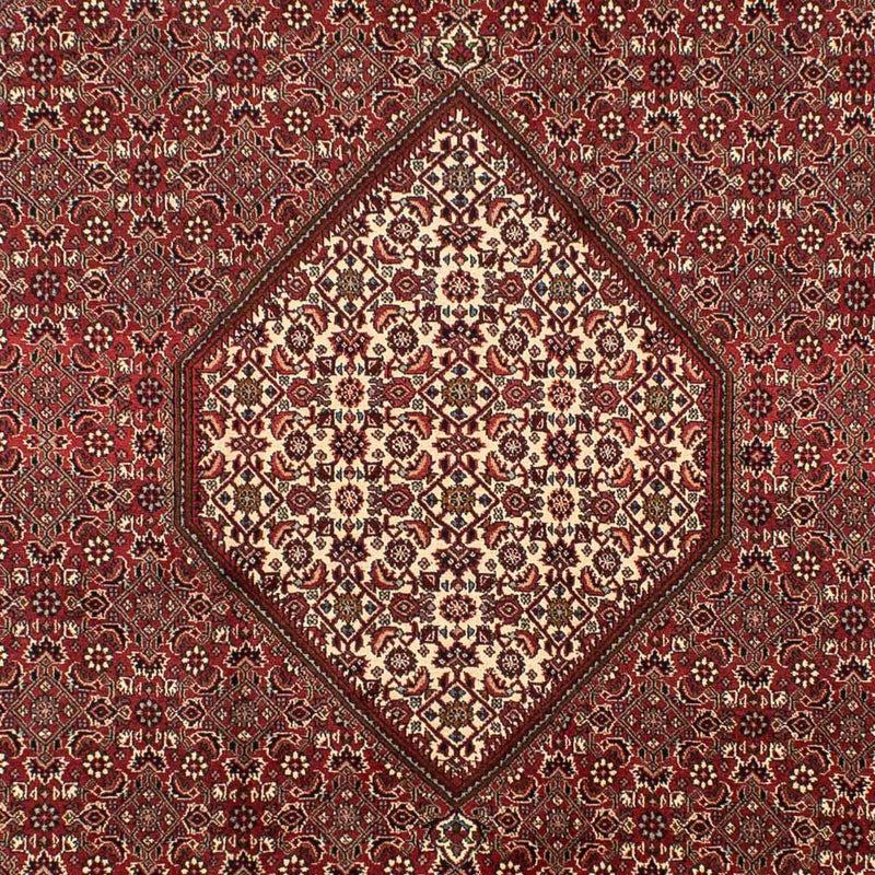 ビジャー 絨毯 295x204cm - ペルシャ絨毯