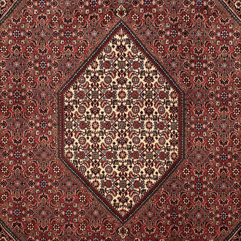 ビジャー 絨毯 298x206cm - ペルシャ絨毯