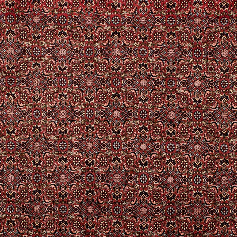 ビジャー 絨毯 298x198cm - ペルシャ絨毯