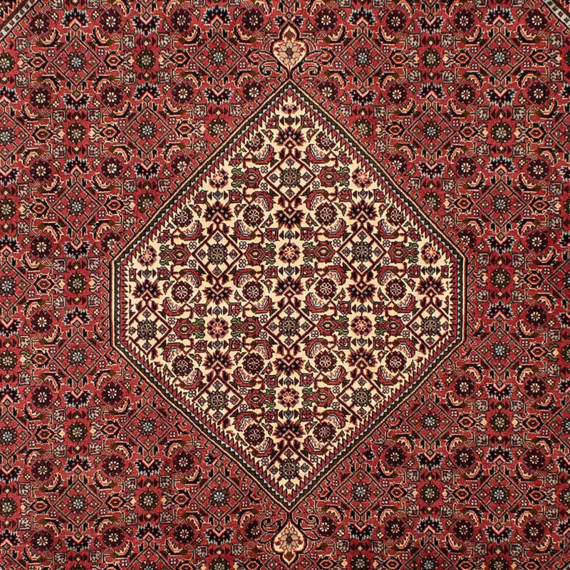 ビジャー 絨毯 308x200cm - ペルシャ絨毯