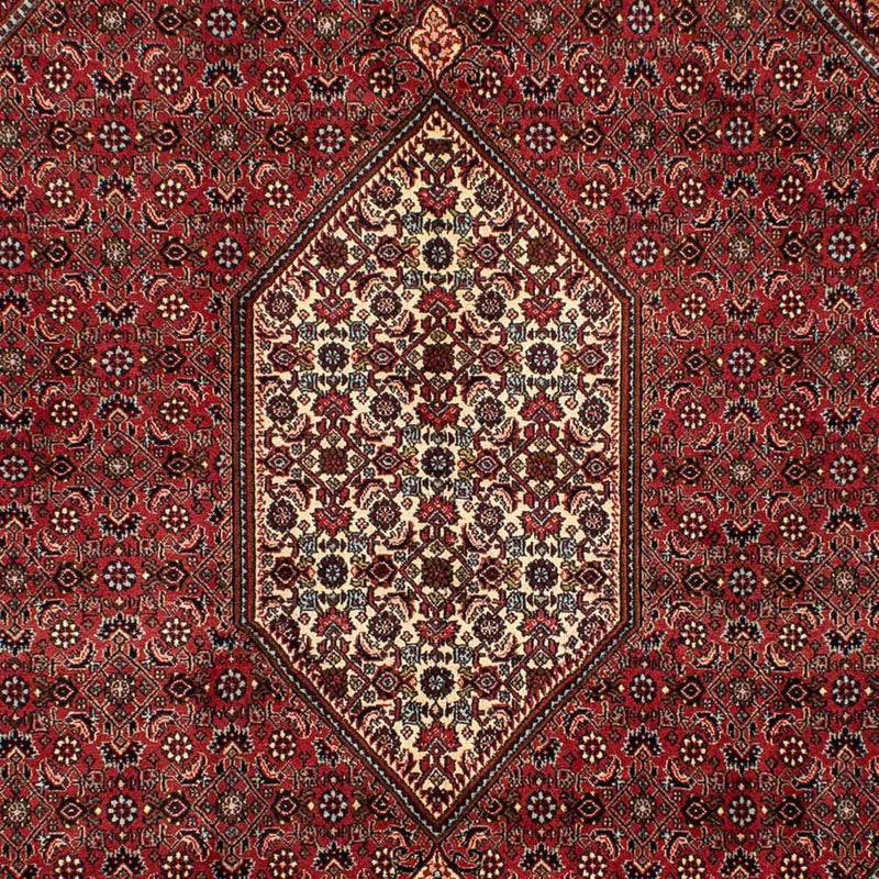 ビジャー 絨毯 282x204cm - ペルシャ絨毯